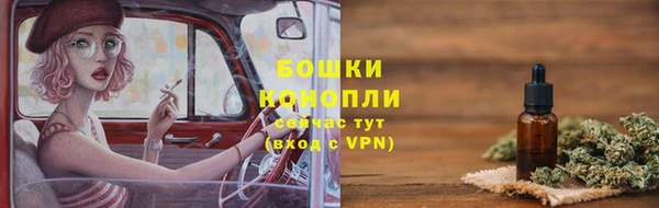 стафф Надым