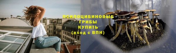 стафф Надым
