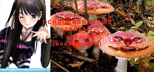 стафф Надым